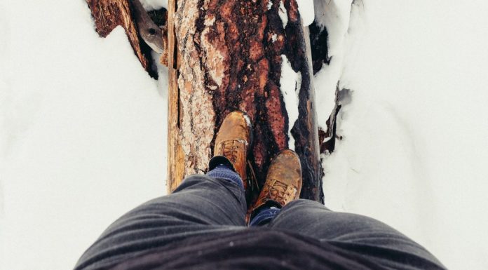 Баланс между работой и личной жизнью – роскошь или необходимость? Баланс между работой и личной жизнью – роскошь или необходимость?