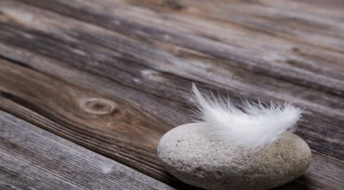 The Paragraph Magazine открывает Soft Skills Академию для юристов