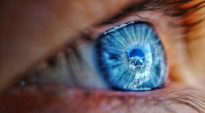 Уехать нельзя остаться