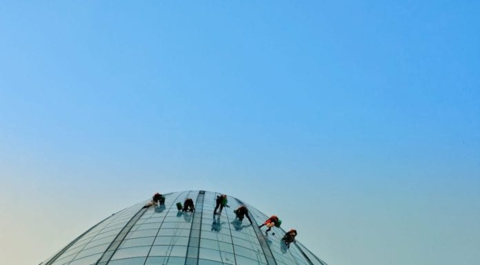 Как эффективно развивать команду