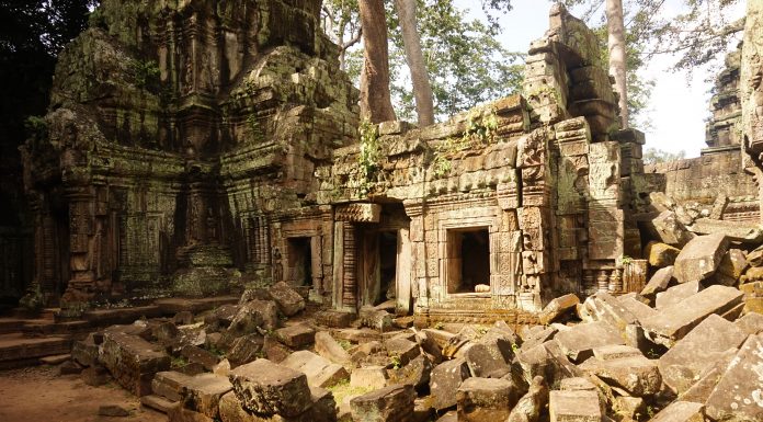 «Gap year» или как объехать пол-Азии и остаться юристом