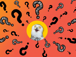 Всероссийская юридическая он-лайн викторина