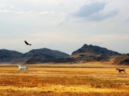 Карьерные новости. Тарабрин Александр