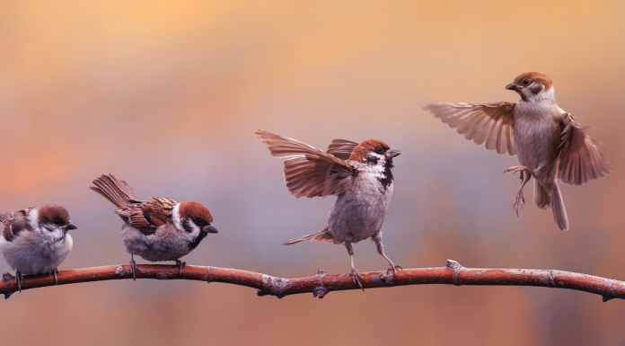 Новый специалист по налоговым преступлениям АБ «Забейда и партнеры»