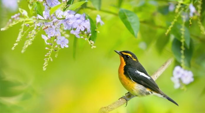 Кадровые новости. Татьяна Минина