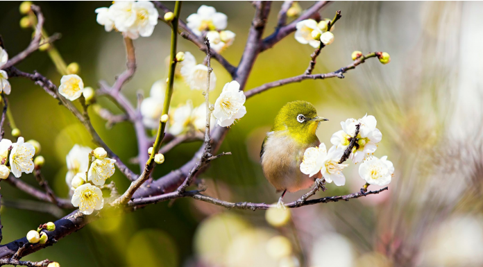 Кадровые новости. Мария Шкаева
