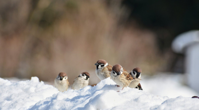 Юридическая фирма «Рустам Курмаев и партнеры» объявила о назначении двух партнеров Юридическая фирма «Рустам Курмаев и партнеры»объявила о назначении двух партнеровЮридическая фирма «Рустам Курмаев и партнеры» объявила о назначении двух партнеров.С10 января2022 г.на должности партнеров фирмы назначены Василий Малинин, руководительнаправления «Коммерческие споры»,и Олег Пермяков, руководитель направления «Реструктуризация и банкротство».Василий и Олег работают в РКП с моментаоснования фирмы в 2017 году, а до этого под руководством Рустама Курмаевавходилив составпрактики поразрешению споров международной юридической фирмы. Василий Малинин специализируется на разрешении коммерческих споров, а также споров в сфере недвижимости и строительства, земельных отношений, аренды и лизинга, природных ресурсов (нефти и газа) и инвестиционных проектов. Василий представлял в судах интересы таких компаний как Ашан, IKEA, Scania, Bio-Rad, ТЕХНОНИКОЛЬ, российских и турецких строительных гигантов, американских нефтесервисных компаний, собственников офисной и деловой недвижимости Москвы и многих других крупнейших российских и международных компаний. Василий рекомендован ведущим российским рейтингом Право.ru-300 в категории «Арбитражное судопроизводство: Крупные споры –High market» в 2021 году. Согласно международному справочнику the Legal 500EMEA 2021, клиенты рекомендуют Василия: «Его выделяют профессионализм, глубокое знание правовых вопросов и индустриальной специфики, спокойствие и уверенность».ОлегПермяковспециализируется на представлении интересов клиентов в судебных разбирательствах при рассмотрении дел о банкротстве, корпоративных конфликтах, спорах, связанных с недвижимым имуществом, с защитой от недобросовестных поглощений.Олег имеет большой опыт представления интересов российских клиентов в арбитражных судах и судах общей юрисдикции всех уровней и инстанций, а также опыт уголовно-правовой защиты.Среди недавних проектов Олега Пермякова-правовое сопровождение группы обособленных споров в деле о несостоятельности (банкротстве) юридических лиц, входящих в группу компаний «СК МОСТ»,задействованныхв важнейших инфраструктурных проектах РФ (расширении БАМа и строительстве железнодорожногомоста в Китай),совокупная сумма споров превышает 3 млрд.руб.Олегпредставляет интересы банка Русский Стандарт внаиболее существенныхспорах, связанных с банкротными процедурами, а такжеуспешнозащищалинтересы группы Мечел и еебенефициарав споре обих привлечениик субсидиарной ответственности на сумму 17млрд. руб.Олег защитилстепень кандидата юридических наук в 2009годуи является адвокатом с 2010 года. Он входитв число лучших юристов в области реструктуризации и банкротства по версии правового рейтинга The Best Lawyers™.Управляющийпартнер Рустам Курмаевпрокомментировал назначение: «Для меня назначение новых партнеров нашей фирмы –это большое событие, так как мы впервые с момента основания фирмы расширяем партнерский состав. Я работаю с Василием и Олегом уже
