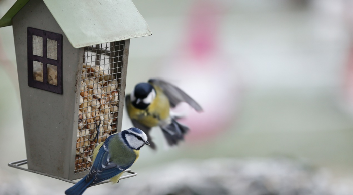 Кадровые новости. Дмитрий Гринин Дмитрий Гринин