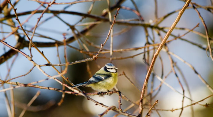 Кадровые новости. Екатерина Лобачева