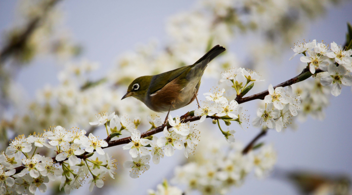 Кадровые новости. Алексей Сухов Кадровые новости. Алексей Сухов