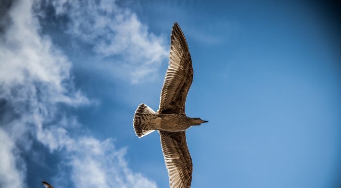 Кадровые новости. Рафаэль Зохрабян