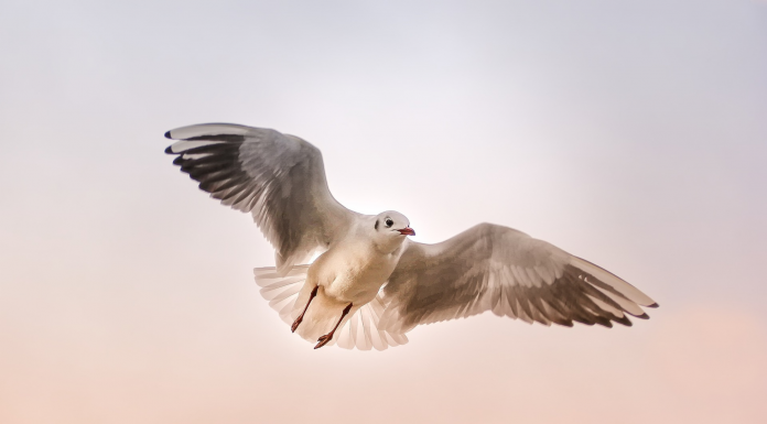 Кадровые новости. Татьяна Верещагина