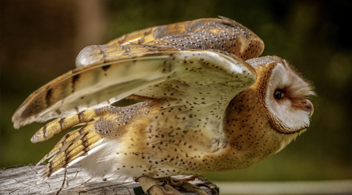 Изменения в составе Совета директоров EVRAZ