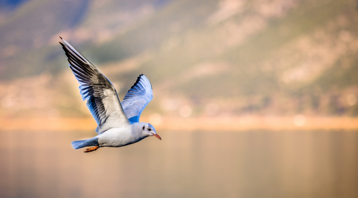 Кадровые новости. Алексей Поповцев