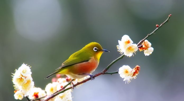 Кадровые новости. Елена Крупская