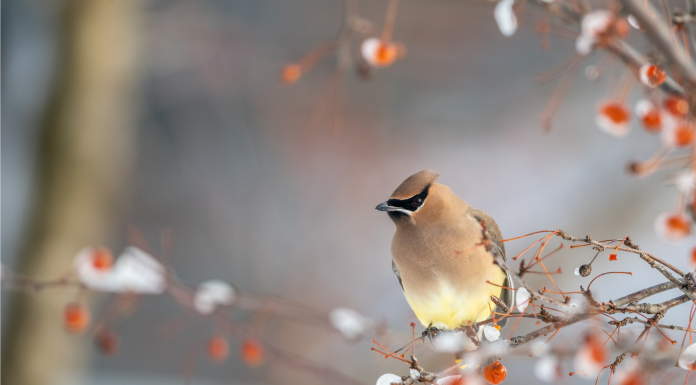 Кадровые новости. Юлия Дзиова Юлия Дзиова кареьрная новость