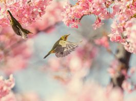 Кадровые новости. Елена Кучерявая